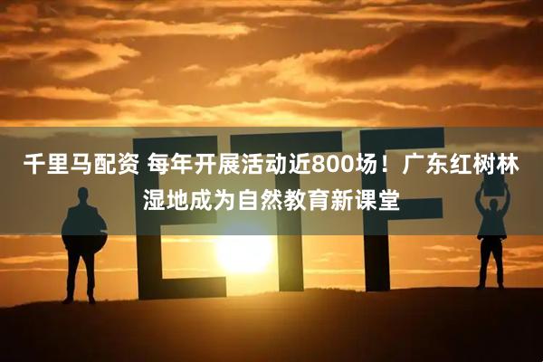千里马配资 每年开展活动近800场！广东红树林湿地成为自然教育新课堂