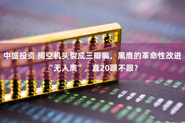 中盛投资 掏空机头裂成三瓣嘴，黑鹰的革命性改进“无人鹰”，直20跟不跟？